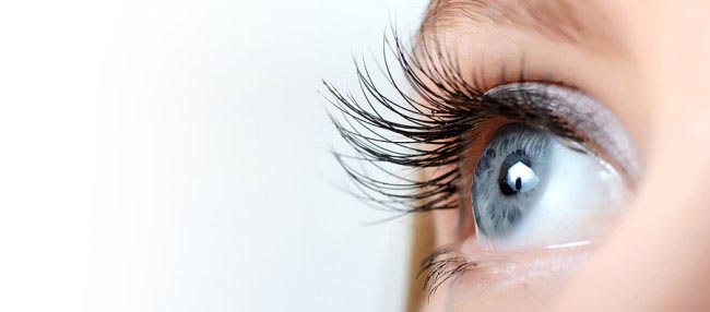 Closeup of eyelashes