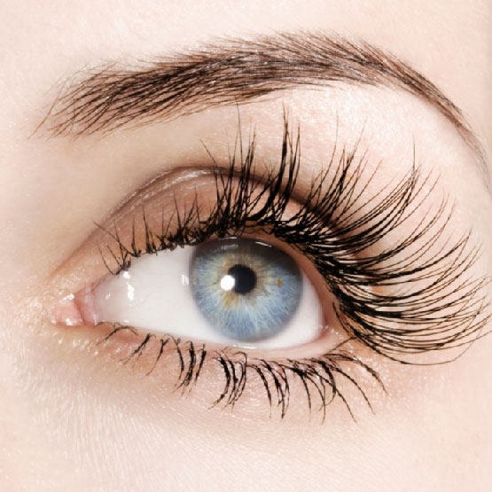 Closeup of eyelashes