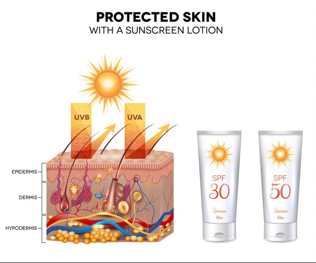 Sunscreen illustration